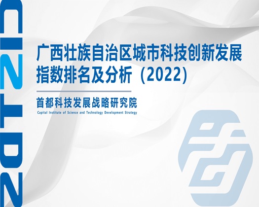 操操逼毛【成果发布】广西壮族自治区城市科技创新发展指数排名及分析（2022）